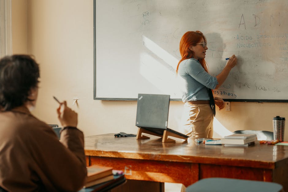 Elaboração e Gerenciamento de Projetos Geotécnicos